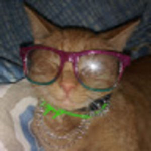 Meet your Posher, Mostly